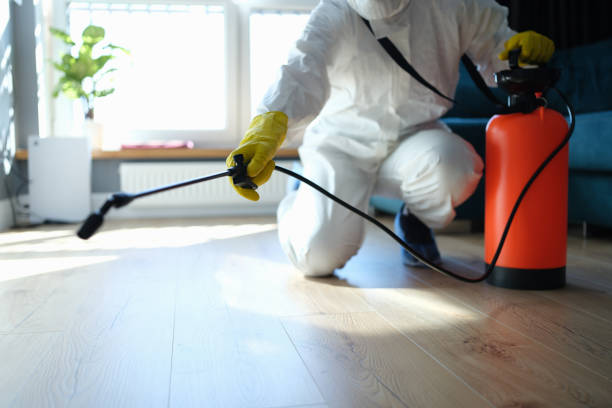 Reliable Odor Removal contractor in Eagle Mountain, UT by Trauma Clean Pros